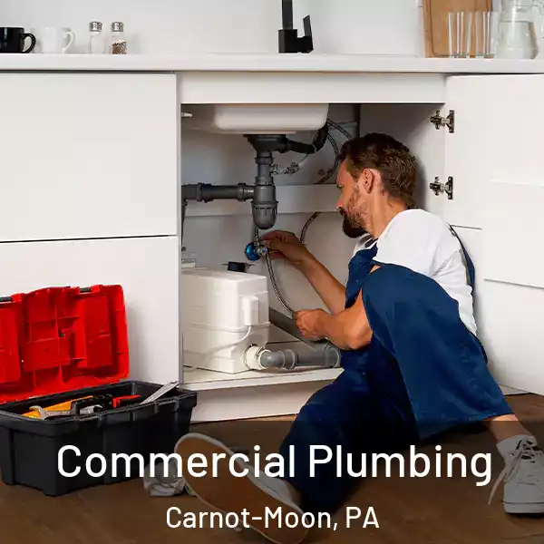  Commercial Plumbing Carnot-Moon, PA
