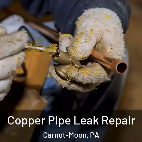  Copper Pipe Leak Repair Carnot-Moon, PA