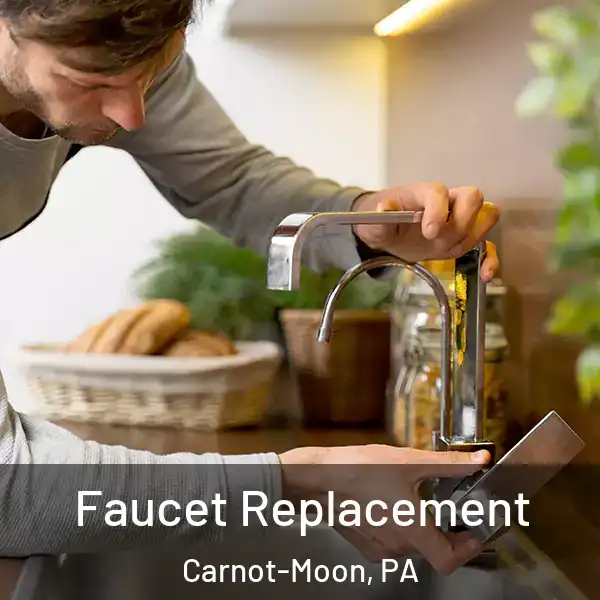  Faucet Replacement Carnot-Moon, PA