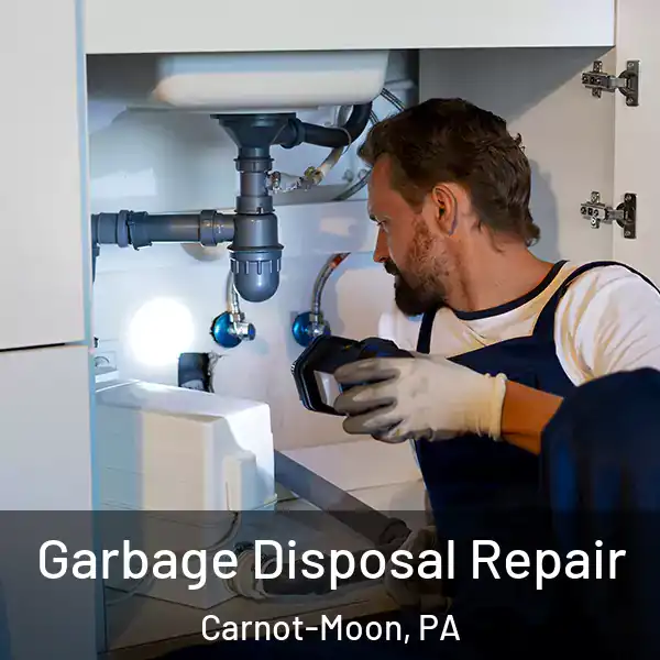  Garbage Disposal Repair Carnot-Moon, PA