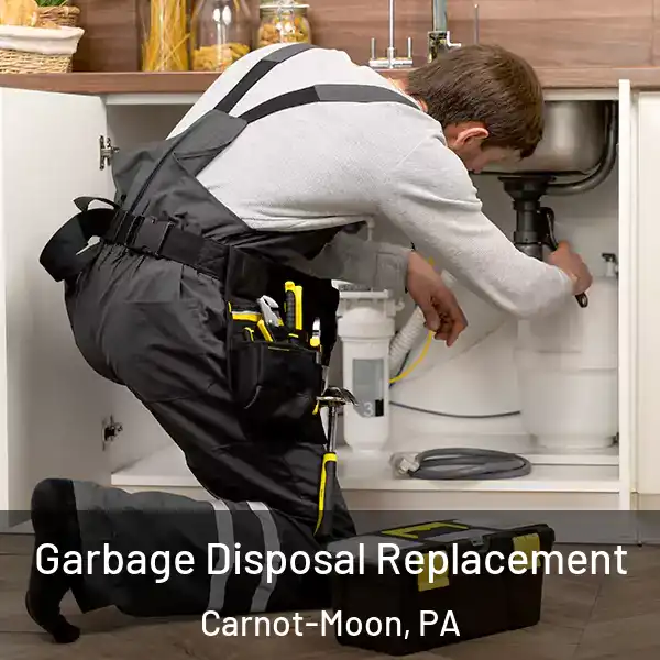  Garbage Disposal Replacement Carnot-Moon, PA