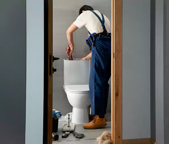 Professional Plumbers for Toilet Bowl Replacement in Carnot-Moon, PA: Schedule Affordable Toilet Replacement Services With Us