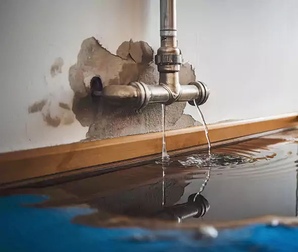 Professional Water Damage Restoration Experts in Carnot-Moon, PA — Fast, Reliable & Certified