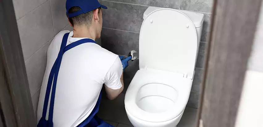 Toilet Lid Replacement in Carnot-Moon