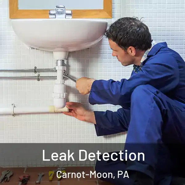  Leak Detection Carnot-Moon, PA