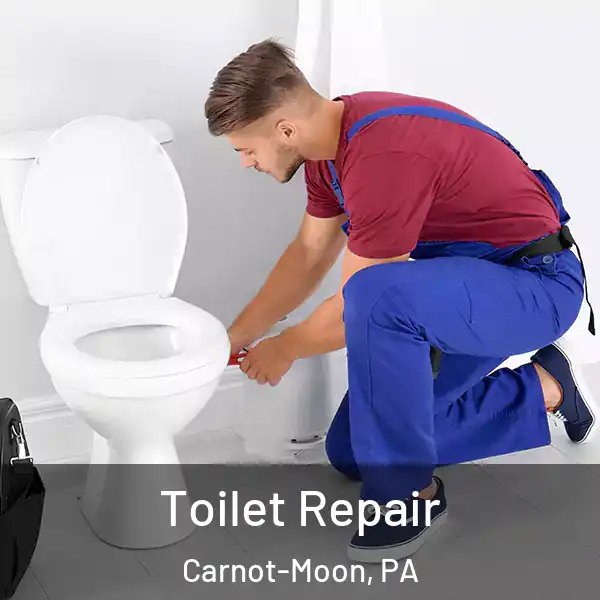  Toilet Repair Carnot-Moon, PA