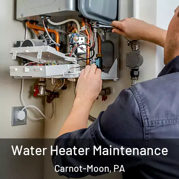  Water Heater Maintenance Carnot-Moon, PA