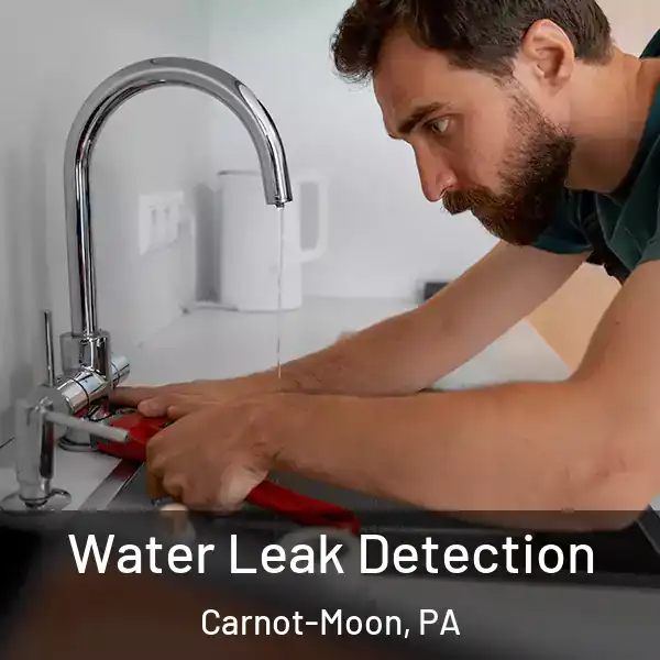 Water Leak Detection Carnot-Moon, PA